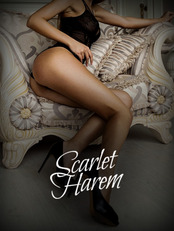 Scarlet Harem Sunshine Coast Brothel