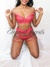 Elegant Escorts takes pride in being the most genuine and discreet agency in Auckland. You can expec Auckland Cbd  Agency