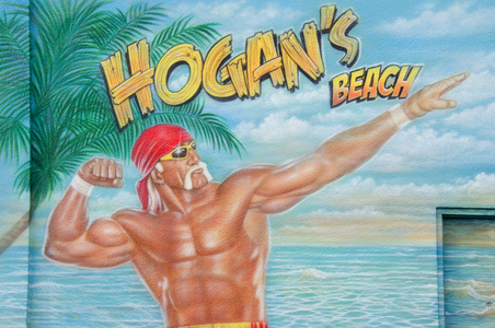 The Iconic - Hulk Hogan - RIP - Credit: YT
