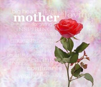 To the Single Mum Between Milk and Magic